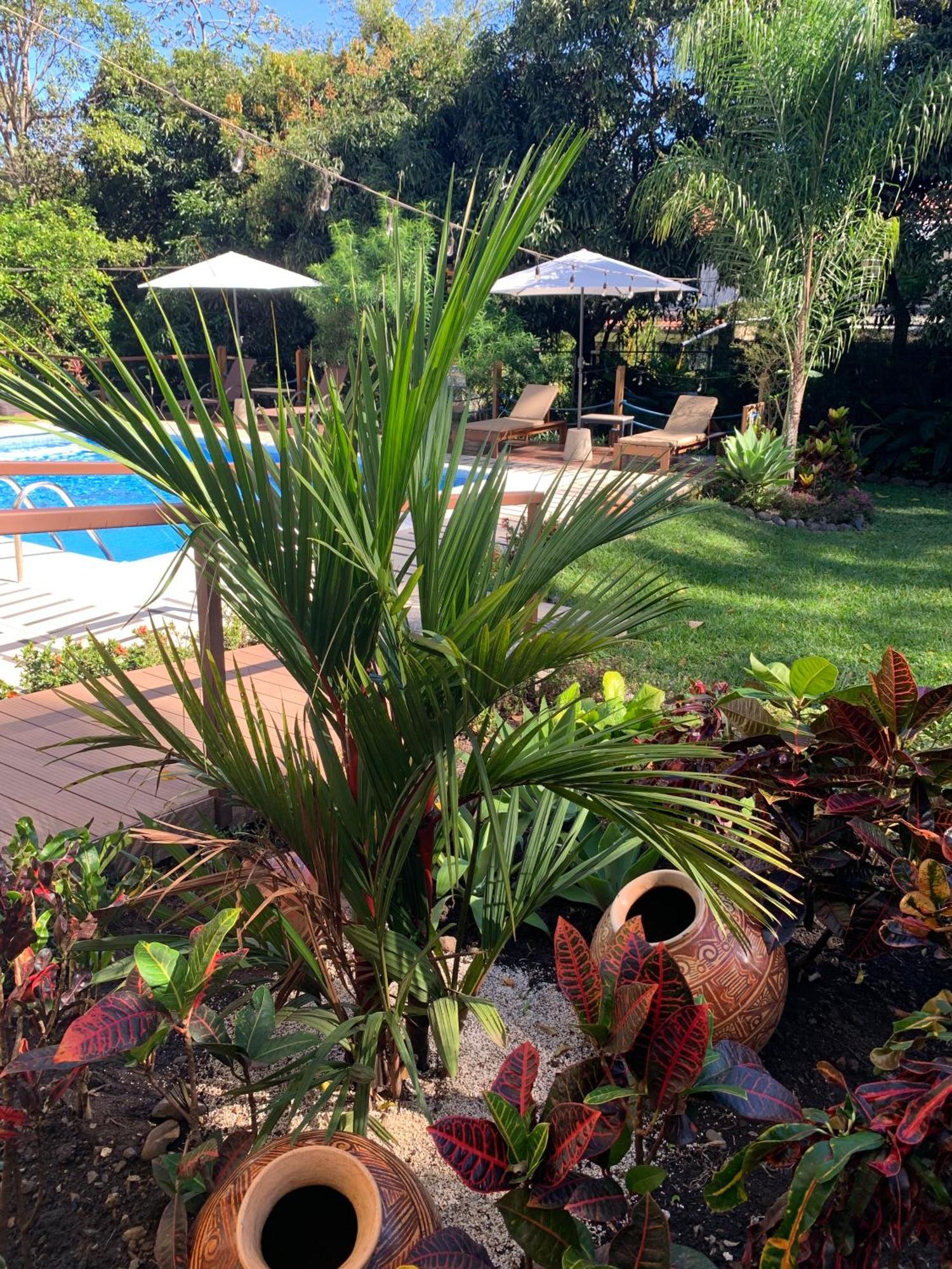 Aranjuez Lofts Santa Ana Appartement Santa Ana  Buitenkant foto
